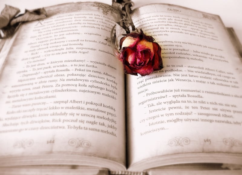 Book Reading Love Story